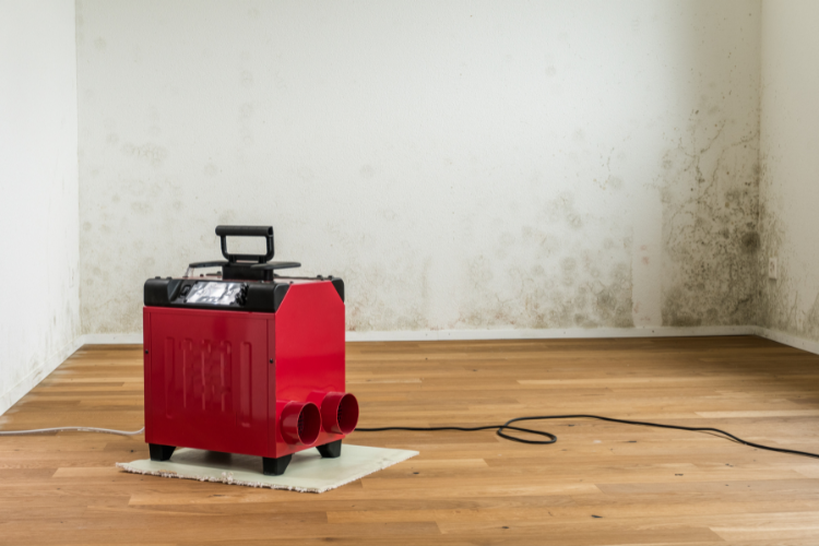 Dehumidification and Drying used in mold removal 