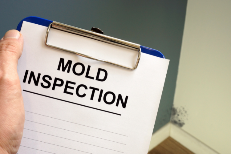 Performing mold testing