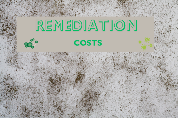 Remediation Costs