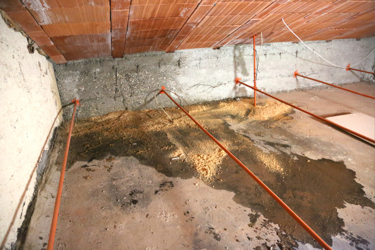 Large moldy attics